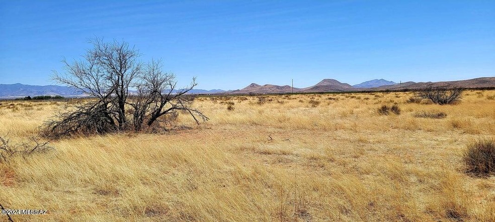 Lot 3 Highway 181 unit 3, Elfrida, AZ 85610 - photo 1