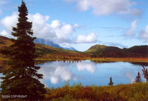 Rush Lake Image Southwest View Fall