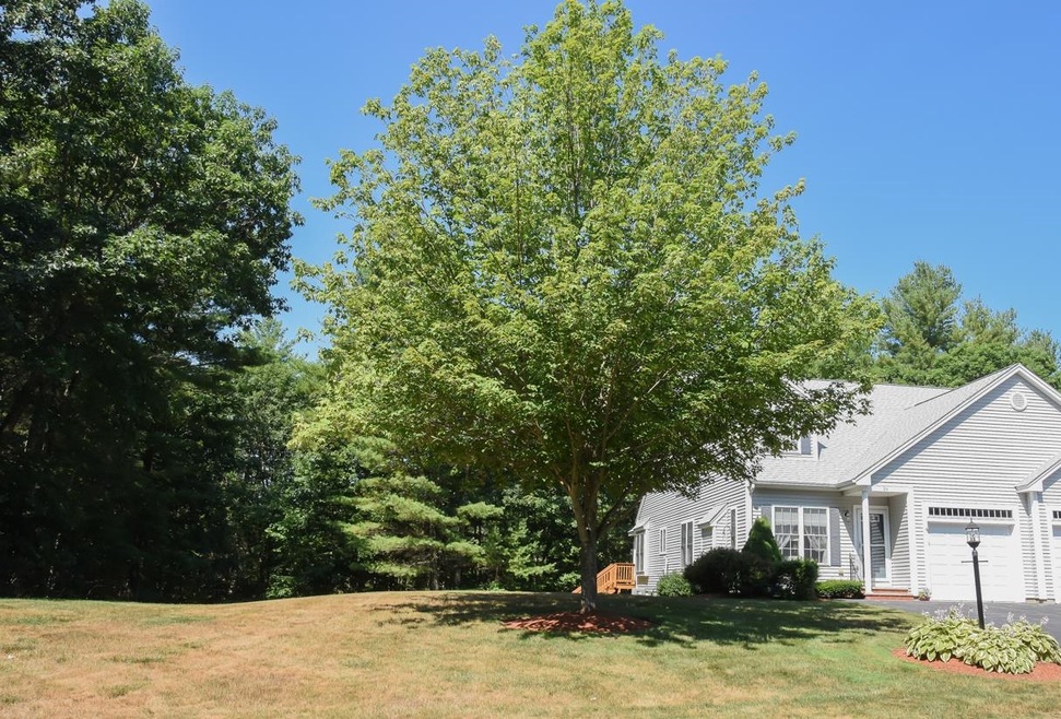 24 Hadleigh Rd, Windham, NH 03087 - photo 1