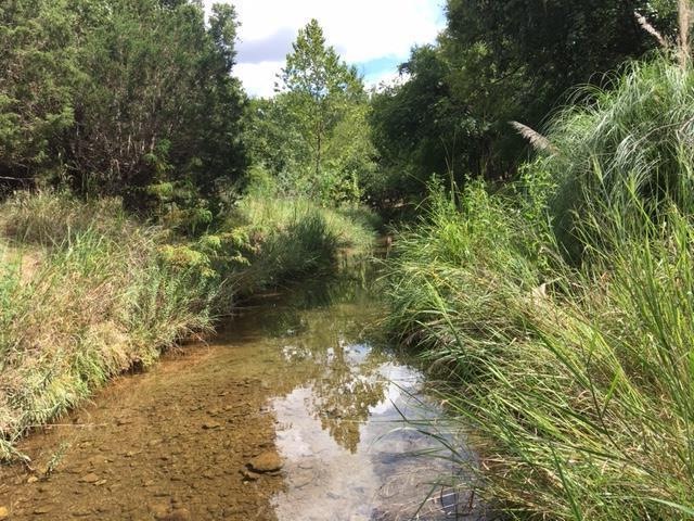 173 Basse Ln, Fredericksburg, TX 78624 - photo 1