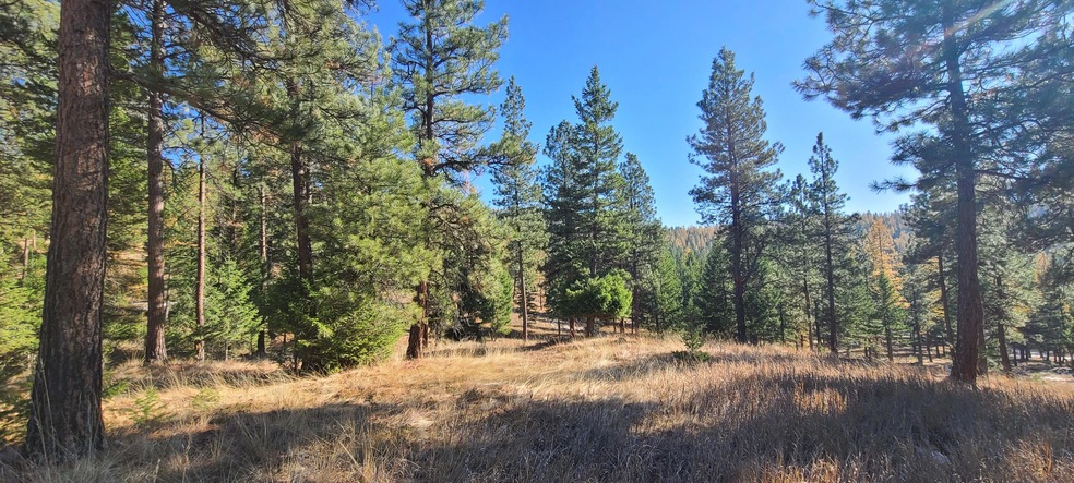 160 Torto Loop, Kila, MT 59920 - photo 1