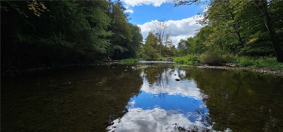 0 Lafayette Rd, Groton, NY 13073 - photo 1