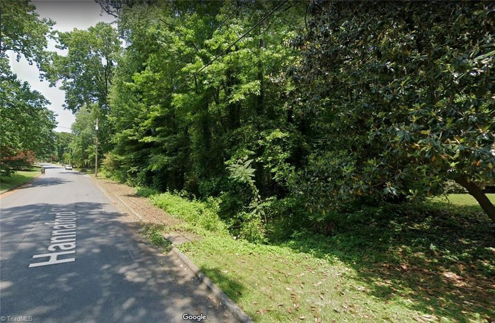 Lot 11 Starts approximately at the power pole and continues down to the cement storm water drain or where the tree line stops.