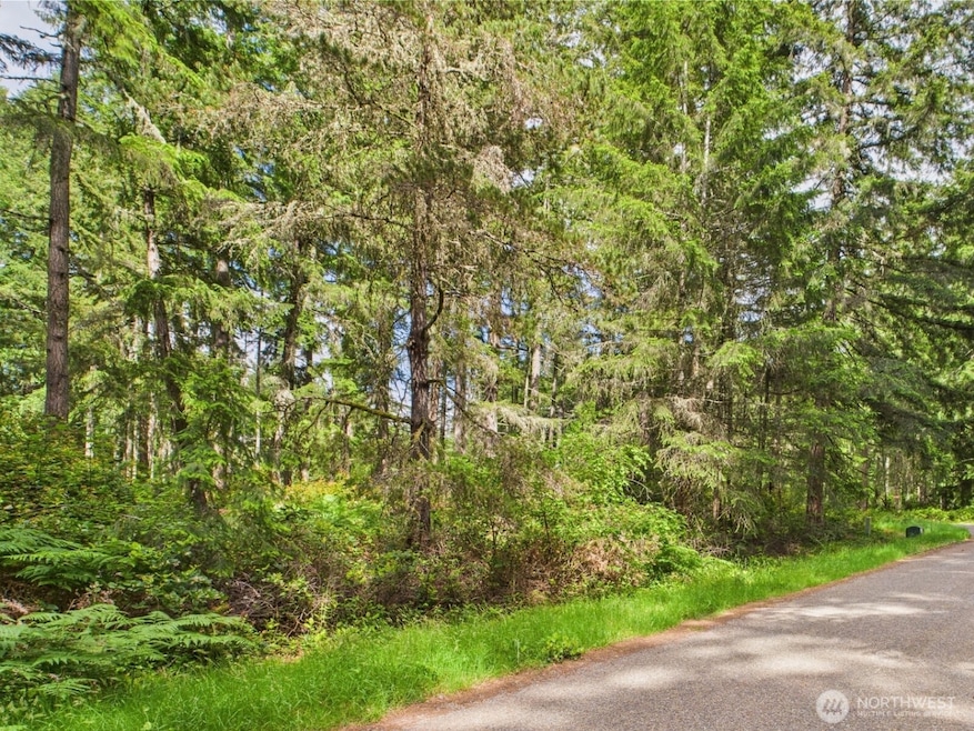 10412 Edgewood Dr, Anderson Island, WA 98303 - photo 1