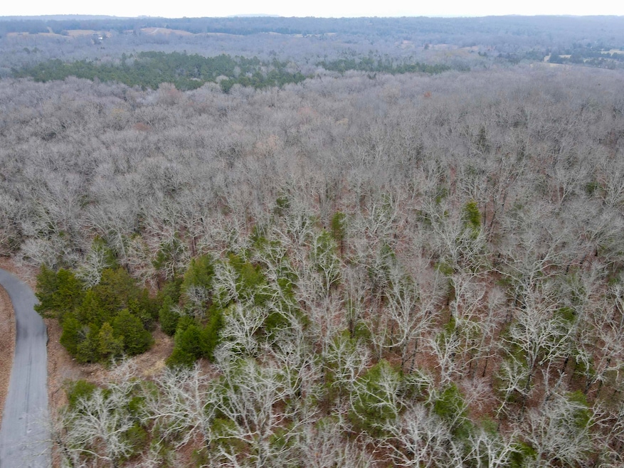 000 McNew Cemetery Rd, Greenbrier, AR 72058 - photo 1