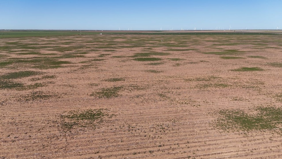 0 Cr Z, Kress, TX 79052 - photo 1