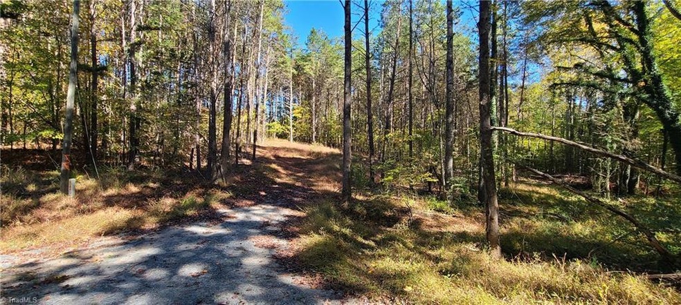 Driveway view of cleared area.