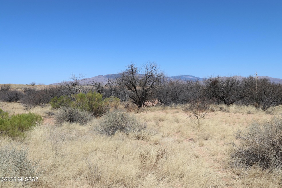 0 W Eeyore Ln unit 22510381, Benson, AZ 85602 - photo 1