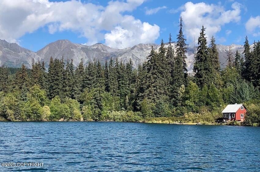 1 cabin on the lake