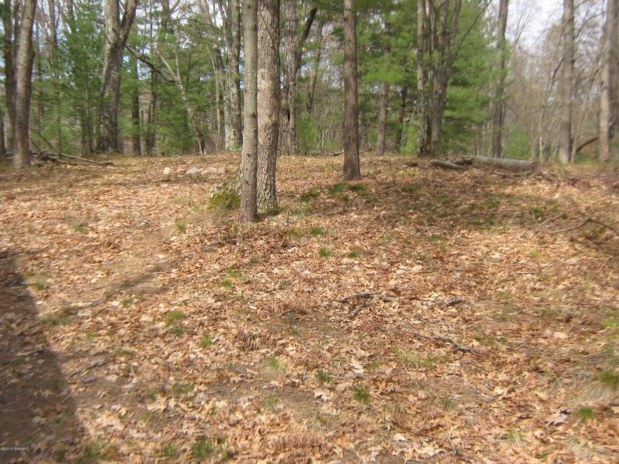 0 Rose St S unit 15022261, Idlewild, MI 49642 - photo 1