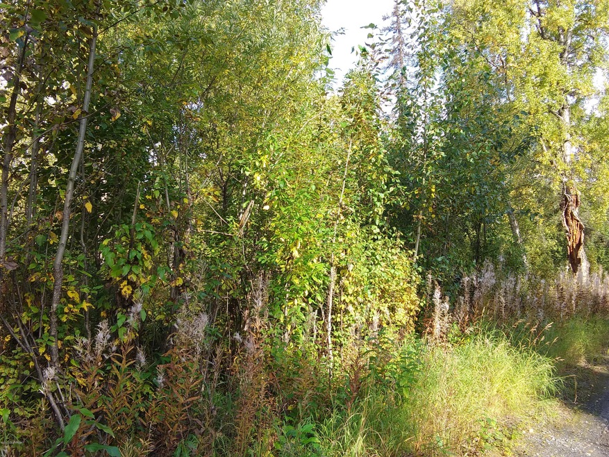 23652 S Wolverine Trail, Trapper Creek, AK 99683 - photo 1