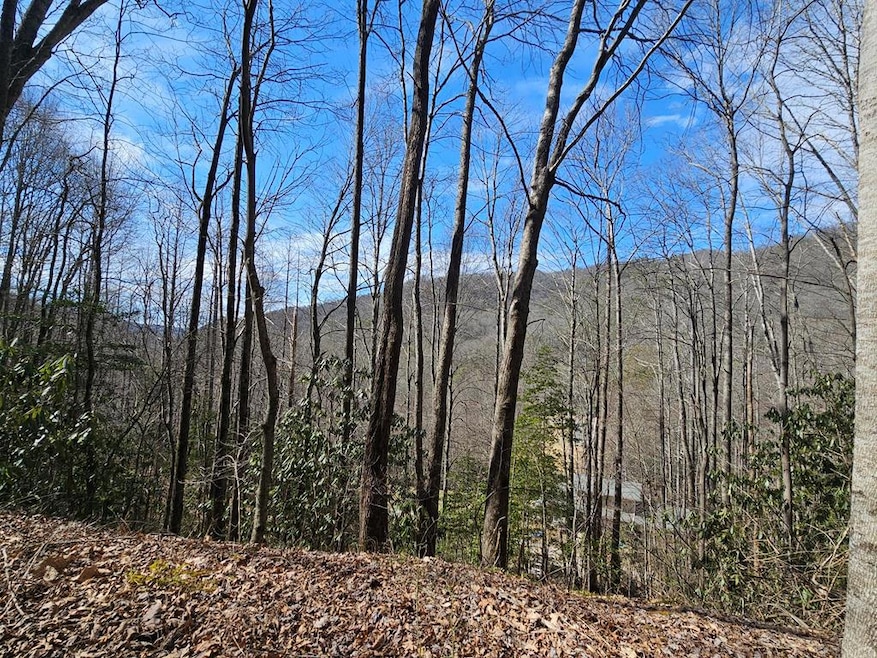 Lot 16 Warrior Way, Andrews, NC 28901 - photo 1