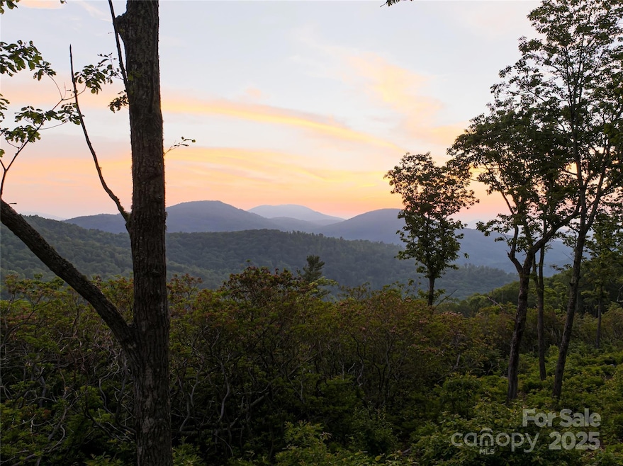 000 E Garden Trail unit 47, Fletcher, NC 28732 - photo 1