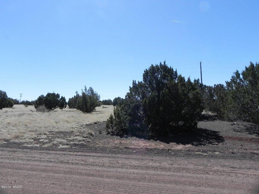 8761 Lance Dr, Show Low, AZ 85901 - photo 1