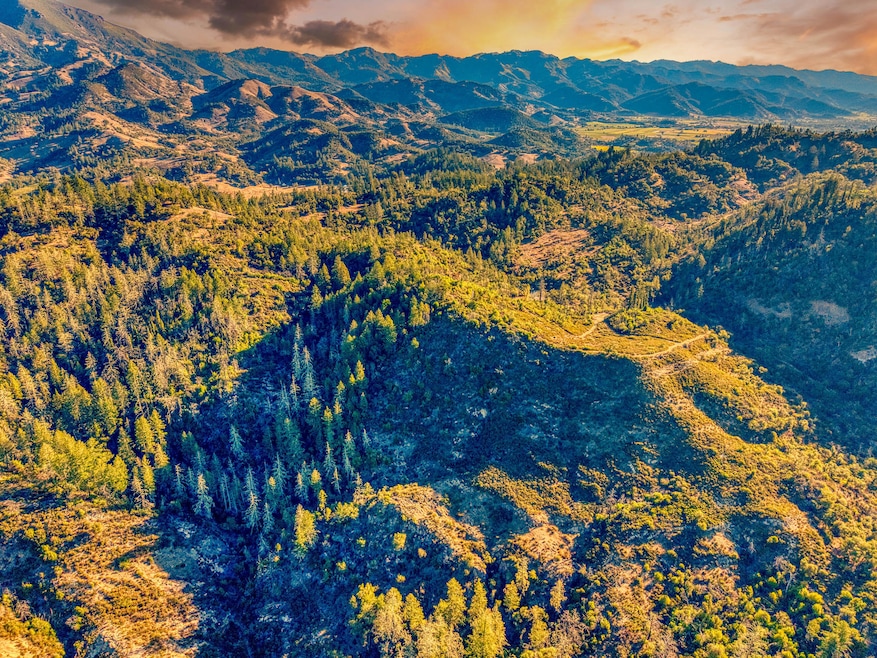 Held in the same family for more than si