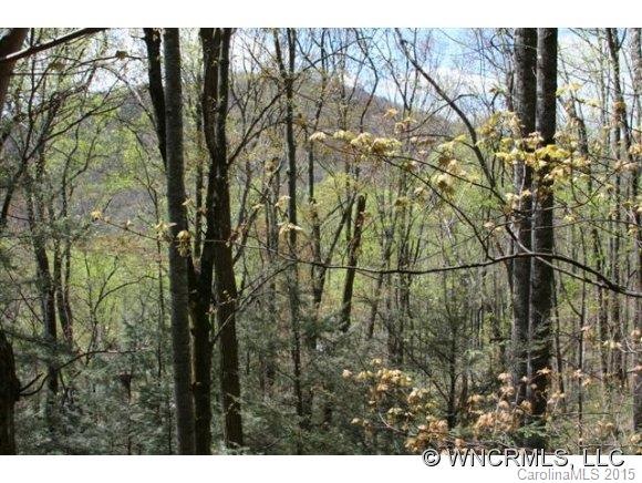 Wooded Land
