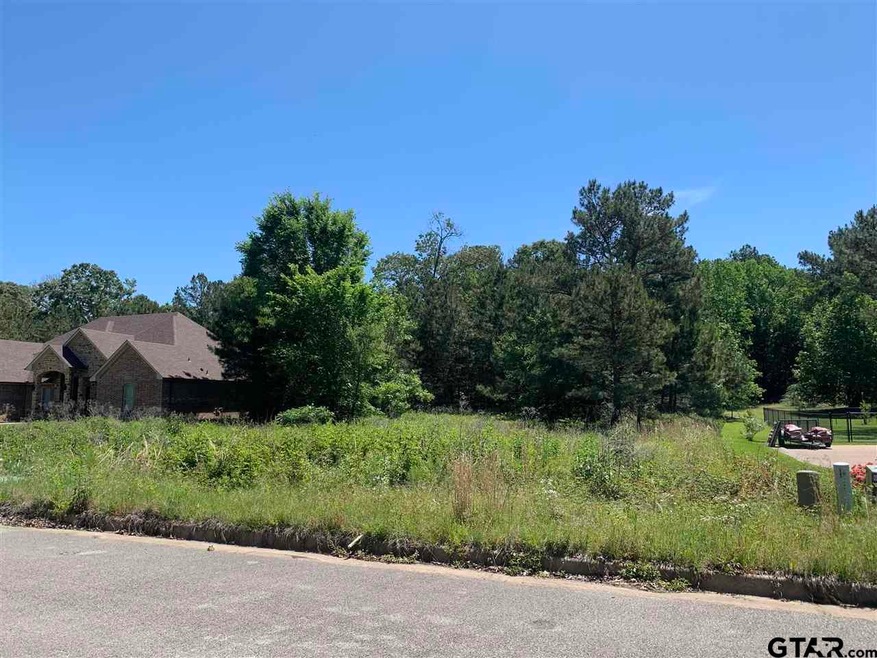 10881 Deer Creek Dr, Tyler, TX 75707 - photo 1