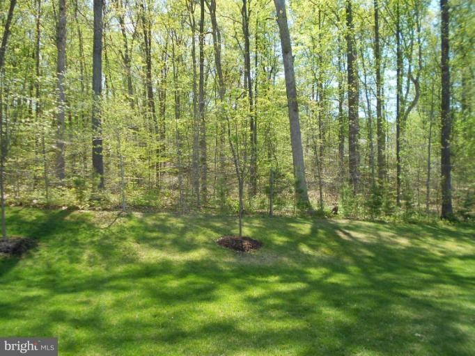 10789 Monocacy Way, Manassas, VA 20112 - photo 1