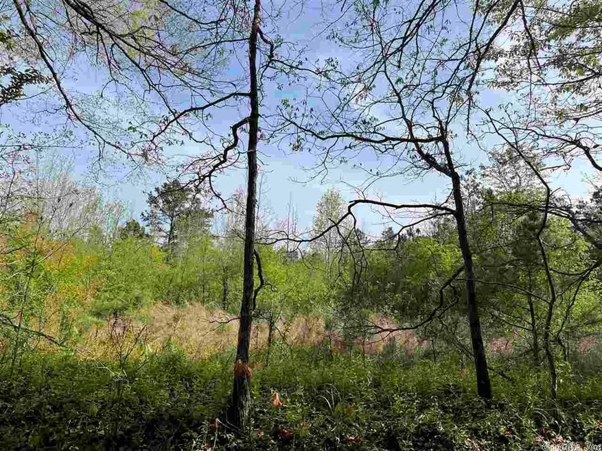 4576 Greene Road 610, Beech Grove, AR 72412 - photo 1