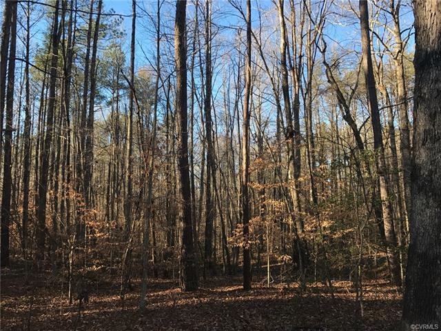 9 Farrington Place Ln, Hanover, VA 23005 - photo 1