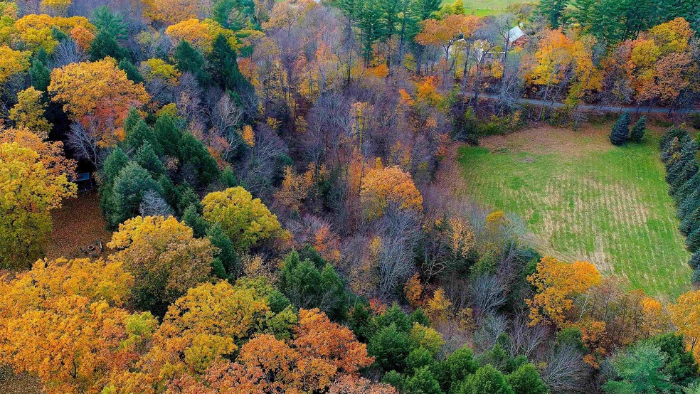 Lots 20.0, 20.3 Farr Rd, Chesterfield, NH 03466 - photo 1