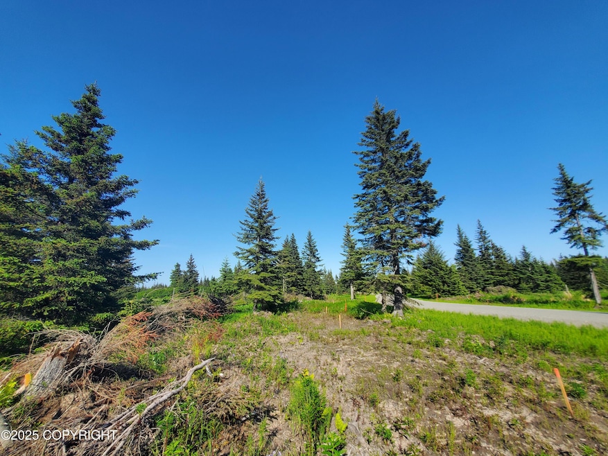 17573 Chefornak St, Happy Valley, AK 99639 - photo 1