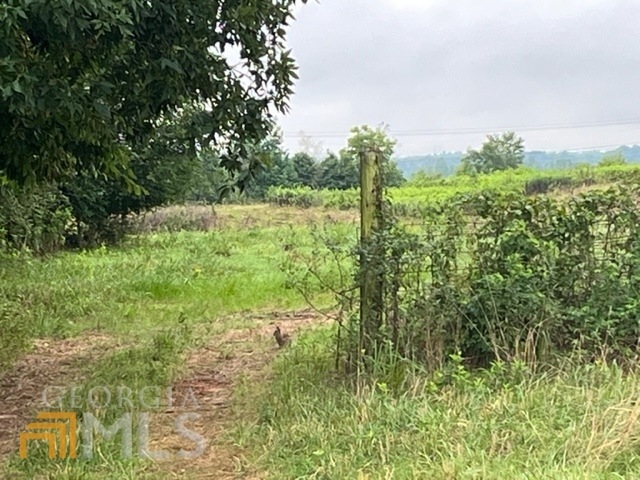 0 Davis Rd unit 10070332, Carrollton, GA 30116 - photo 1