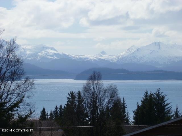Kachemak Bay Views