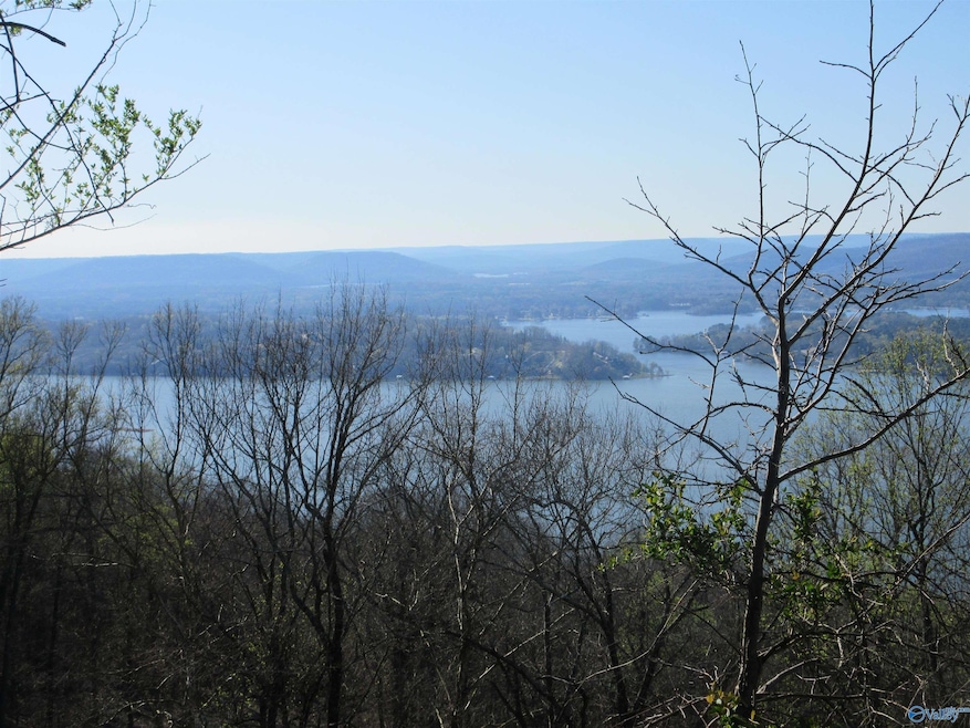 1960 County Road 223, Dutton, AL 35744 - photo 1