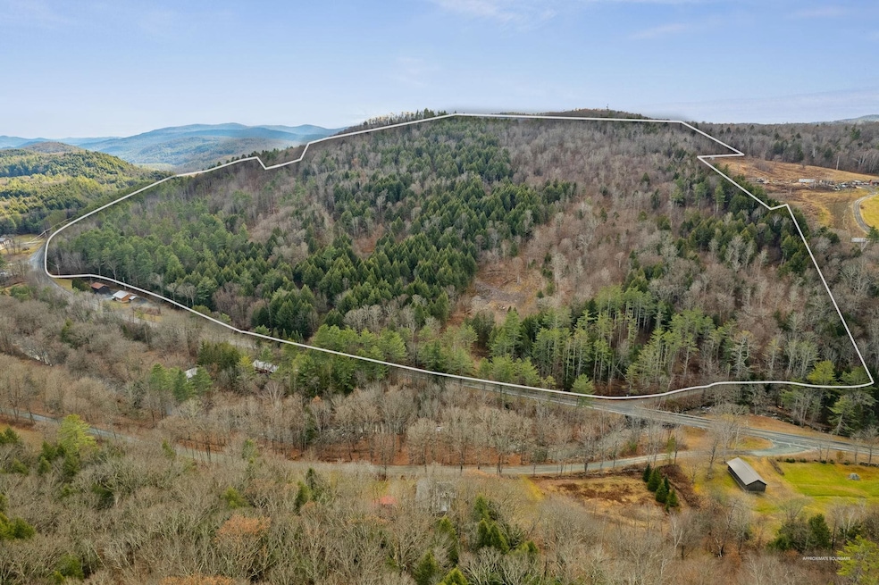 0 Vermont 106, Reading, VT 05062 - photo 1