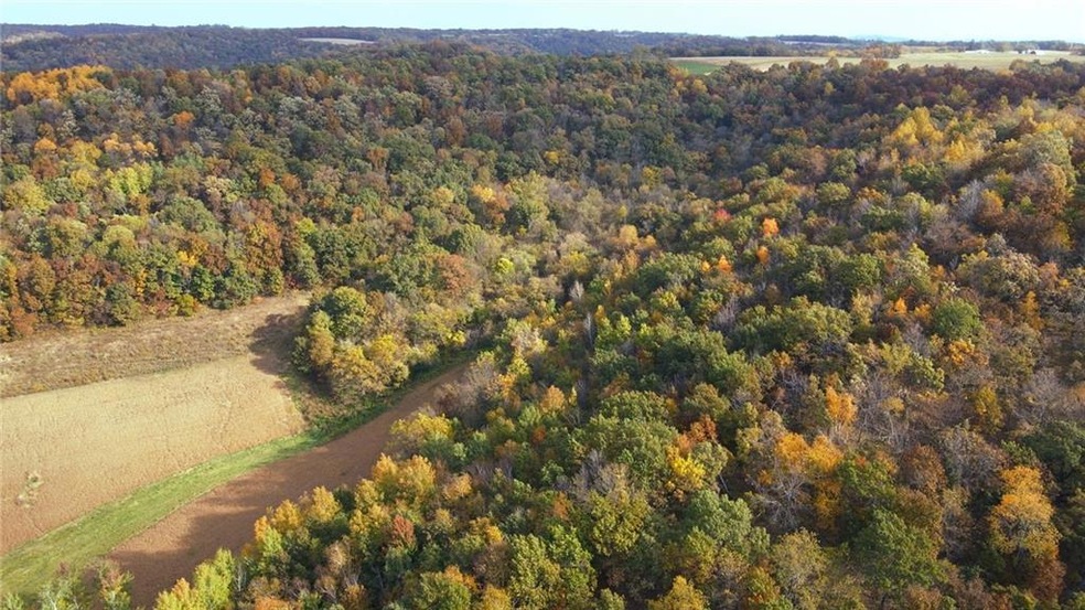 XX Donald Veto Ln, Galesville, WI 54630 - photo 1