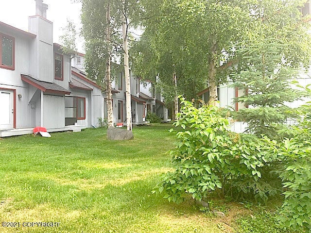 back1
