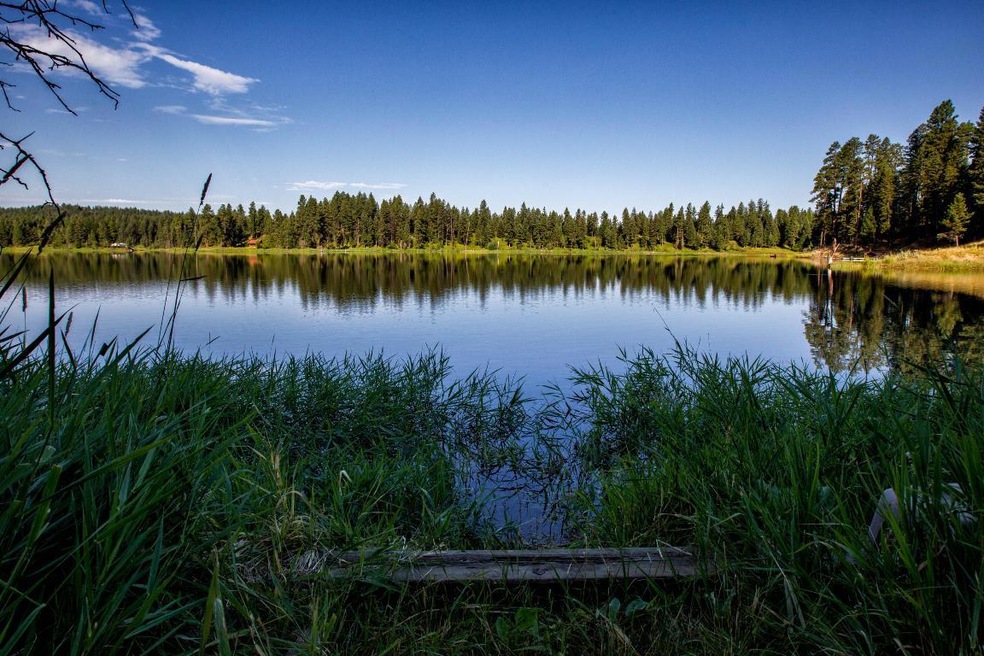 828 Abbott Village Dr, Bigfork, MT 59911 - photo 1