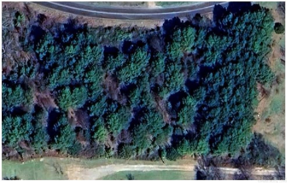 0 Cactus Ln, Morrilton, AR 72110 - photo 1