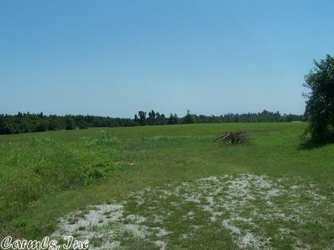 000 Mt Carmel Rd, Paragould, AR 72450 - photo 1