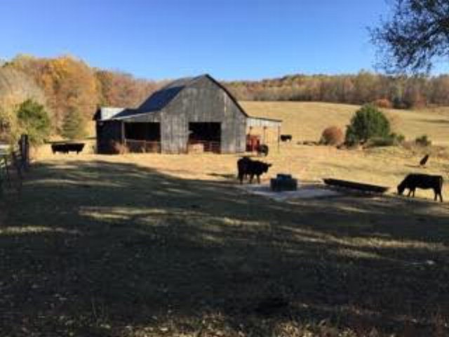 9266 Spring Creek Rd, Cookeville, TN 38506 - photo 1