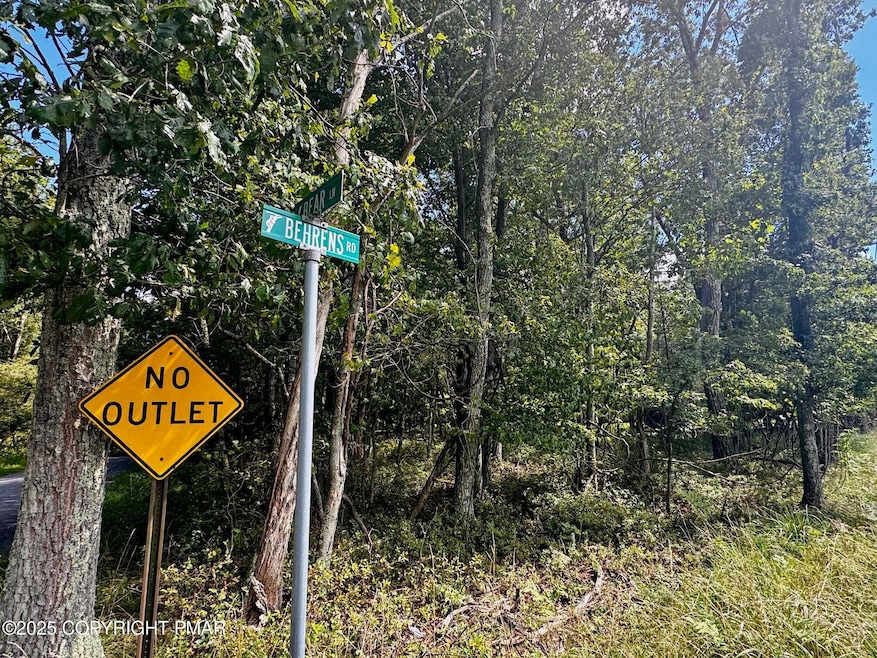 0 Rd, Jim Thorpe, PA 18229 - photo 1