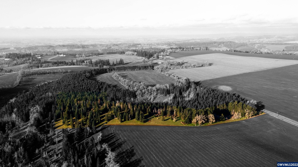 4289 Davis Creek (Next To) (Lot#1) Rd NE, Silverton, OR 97381 - photo 1