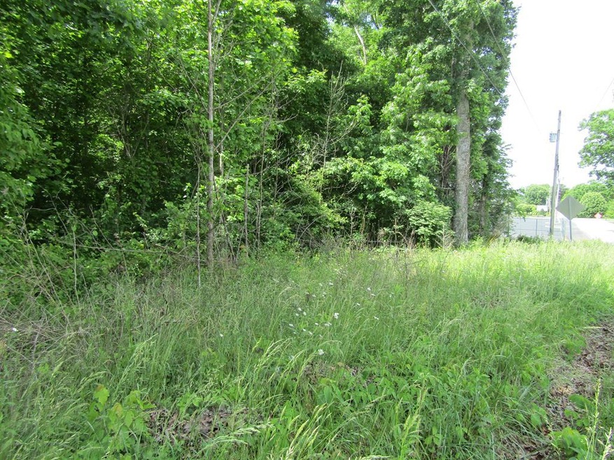 Lot 1&2 Pomona Rd, Crossville, TN 38572 - photo 1