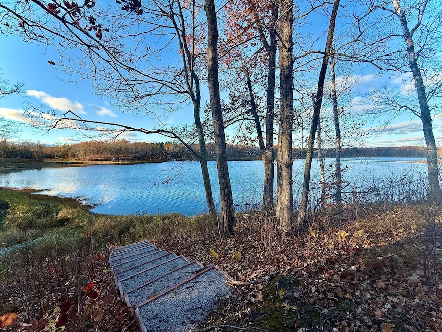 TBD NW Turtle Ln, Walker, MN 56484 - photo 1