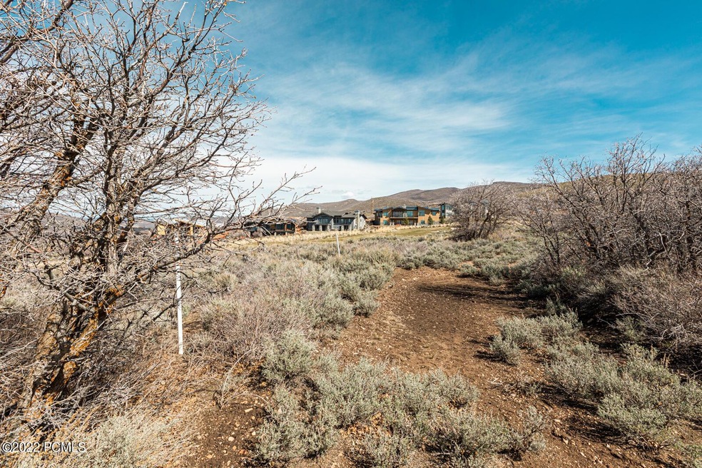 0_Lot-East-Lasso_high_3843208