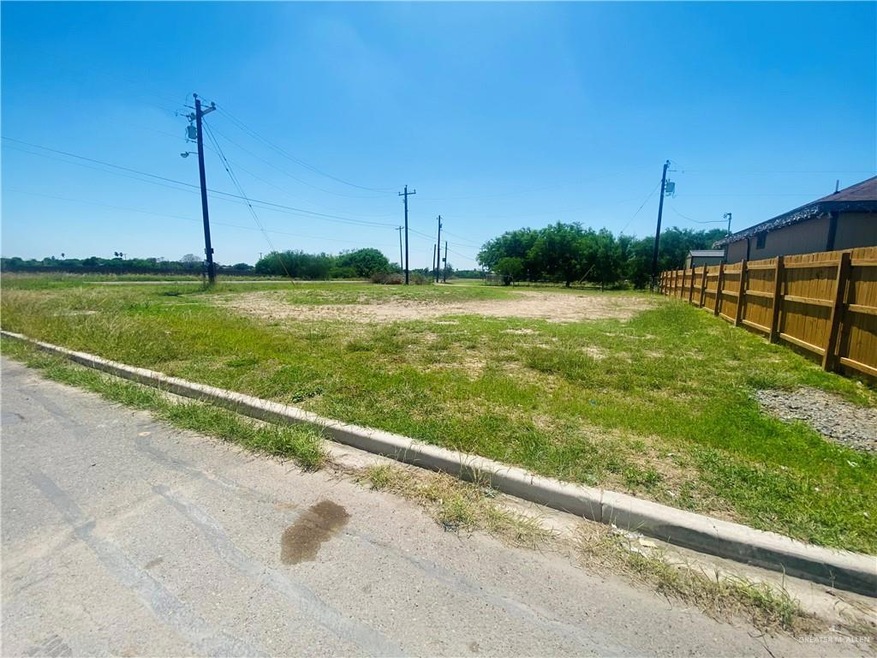 837 Pelican St, Alamo, TX 78516 - photo 1