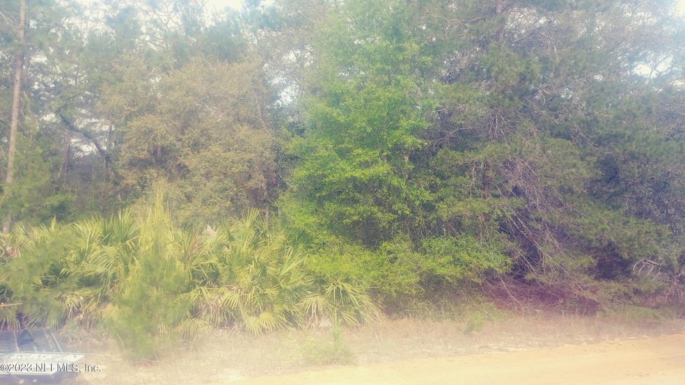 0 David Ave unit 1219311, Interlachen, FL 32148 - photo 1