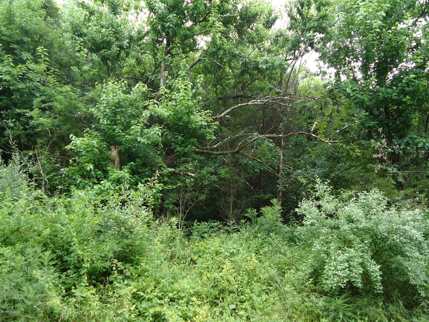 DSC05306