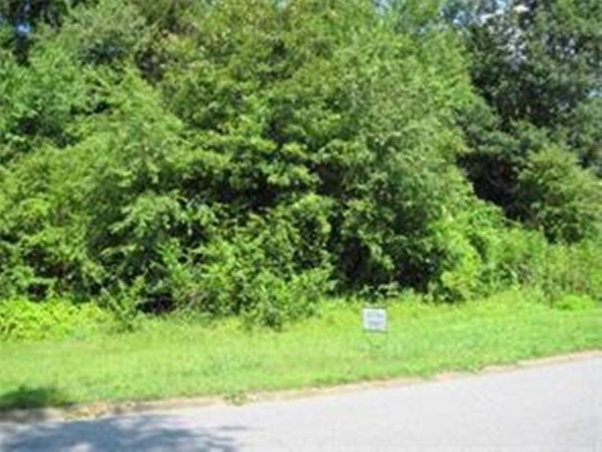 4323 Willow Oak Dr, Gainesville, GA 30506 - photo 1