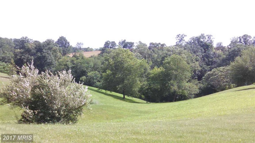 6160 Bino Rd, Green Castle, PA 17225 - photo 1