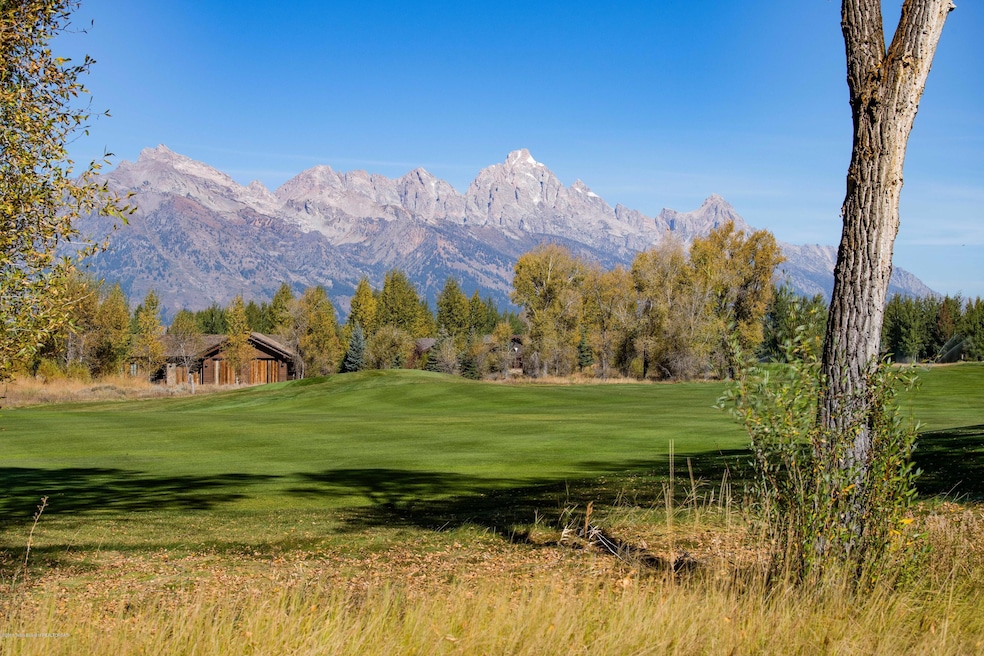 Teton View