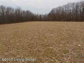 4850 Highway 1066, Bloomfield, KY 40008 - photo 1
