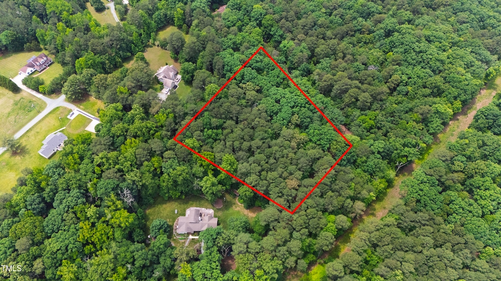 Aerial Red Outline 1