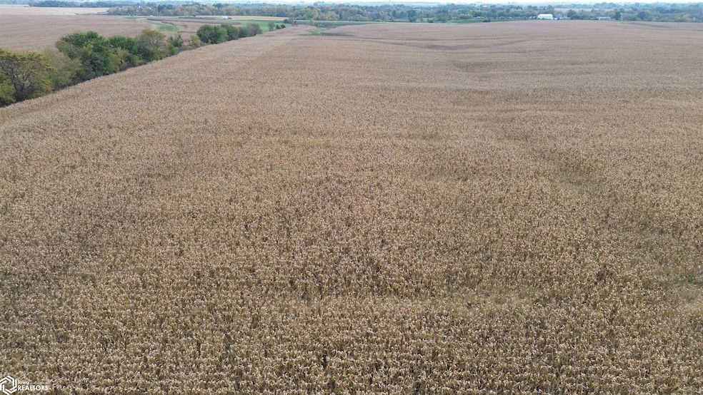 152 A Iowa 2, Bloomfield, IA 52537 - photo 1